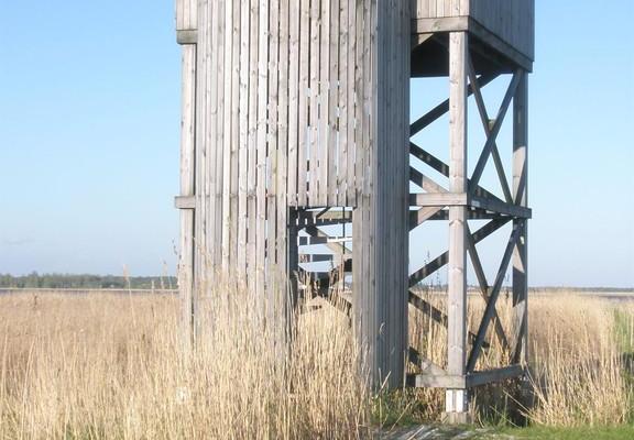  Loode ozolāja dabas-putnu vērošanas tornis