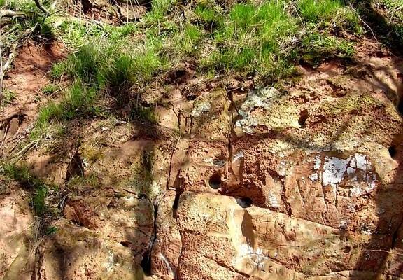 Tamme Outcrop hiking track