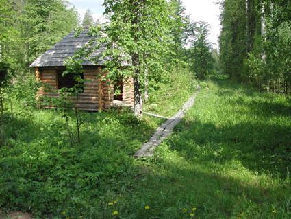 Природная учебная тропа в девственном лесу Ярвселья