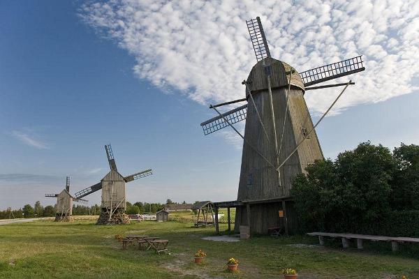 Angla Windmill Mount