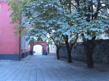 Estonian Applied Art and Design Museum