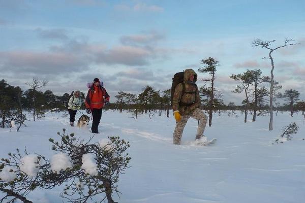 Two day nomadic trek "Hiking on snowshoes in the tranquil bogs of Rapla County"