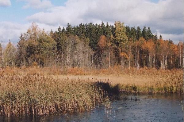 Entu Punamegi telšu laukums