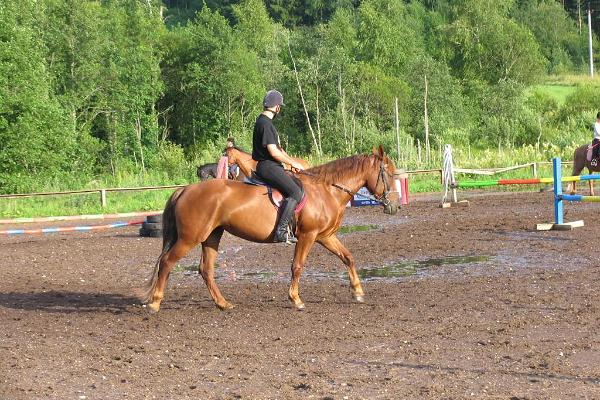 Tobra Hobused Riding Farm