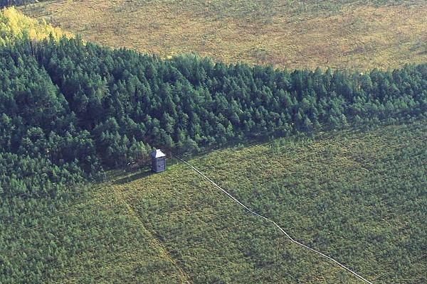 Naturschutzgebiet Alam-Pedja und Fischteiche in Ilmatsalu