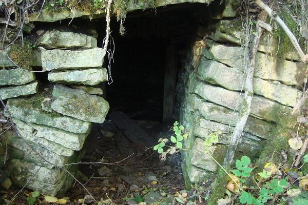 Ajamatkad gångsvandring upptäcker kulturarv på Kurese förhistoriska landskap