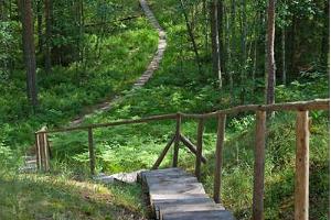 Seljamäe study hiking trail
