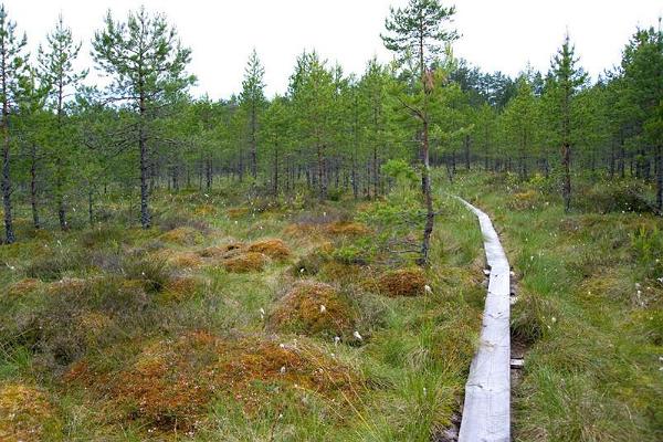 Seljamäe study hiking trail