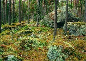 Käsmun matka- ja polkupyörärata