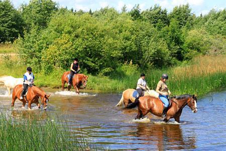 Mounted trips and camps, as well as horseback riding for enthusiasts of all skill levels at Juurimaa Stables