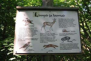 Matsalun kansallispuisto ja luontokeskus