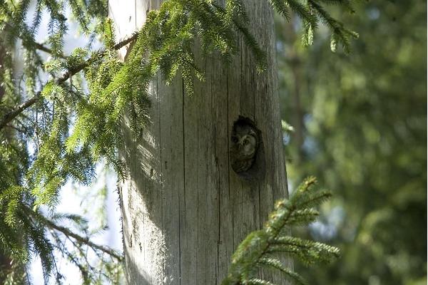 Nationalpark Matsalu und Naturzentrum