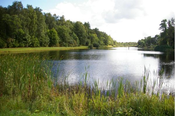 Rava tammik ja järv