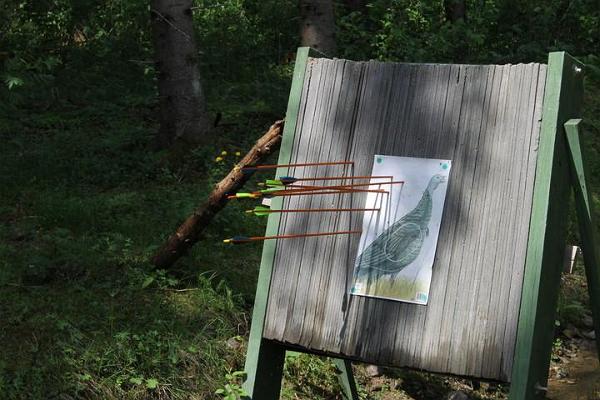Archery at Kõveri Holiday Centre