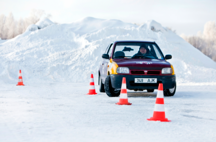 Take a trick car for a slalom ride at LaitseRallyPark!