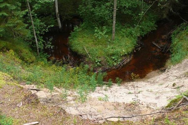 Studieleden i Vanajõe dal