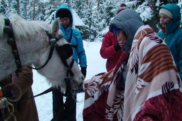 Voore Tallid – exciting sleigh ride in the magical forest surrounding Varbola stronghold