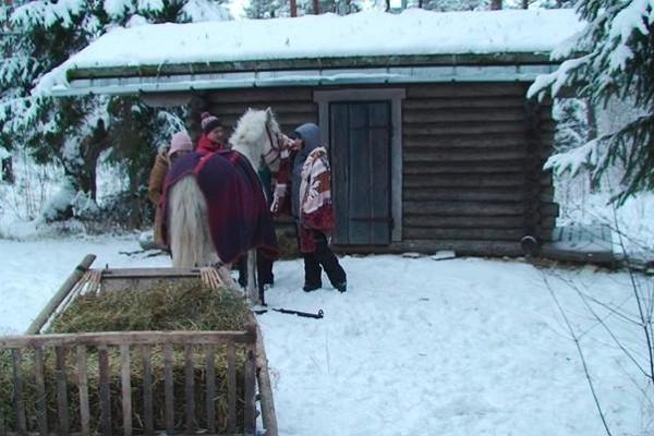 Voore Tallid – exciting sleigh ride in the magical forest surrounding Varbola stronghold