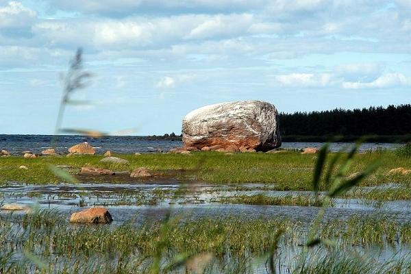 Flyttblockarna Suurkivi och Ehalkivi i Tagaküla