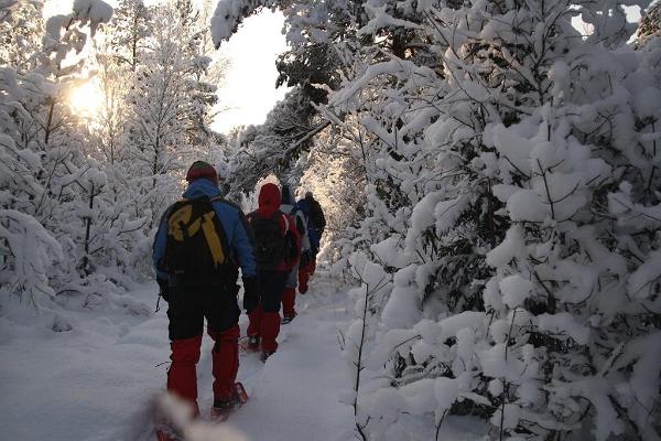 Snowshoe hiking in Kõrvemaa