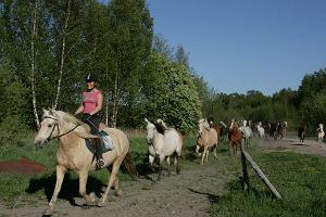 Tihuse horse-riding & farmstead stay
