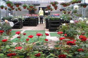 Põltsamaa Rose Garden