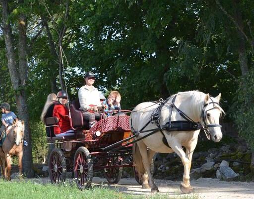 Horse trips to the land of fairies - on a sleigh, a carriage or on horseback