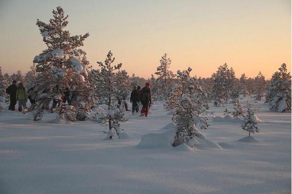 Schneeschuhwandern im Moor Linnuraba