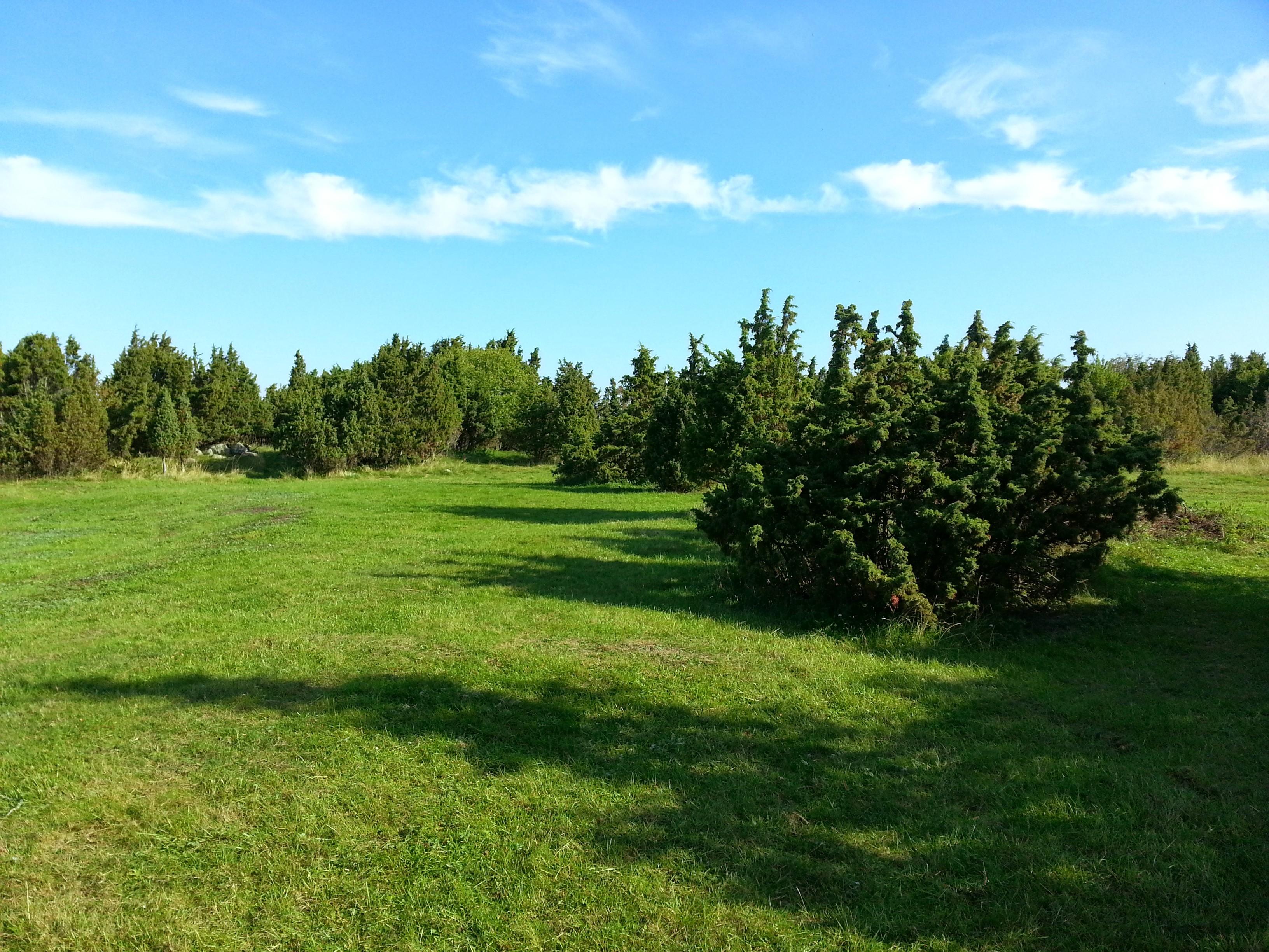 Explore the islets of Hiiumaa by boat