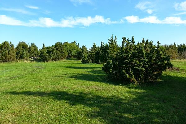 Explore the islets of Hiiumaa by boat