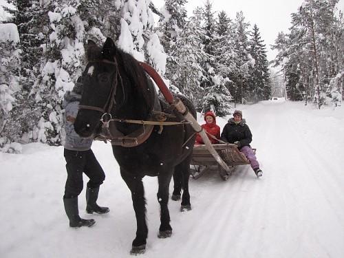 Wanderreiten und Reitlager für alle Niveaus am Pferdestall Juurimaa
