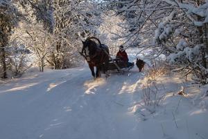 Sleigh and sledge rides at Juurimaa Stable for families and groups