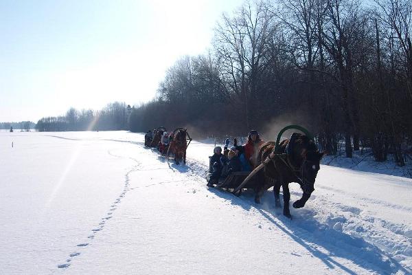 Sleigh and sledge rides at Juurimaa Stable for families and groups