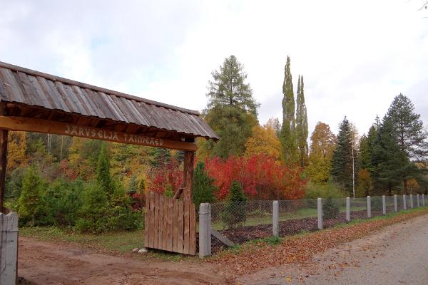 Järvselja växtgård