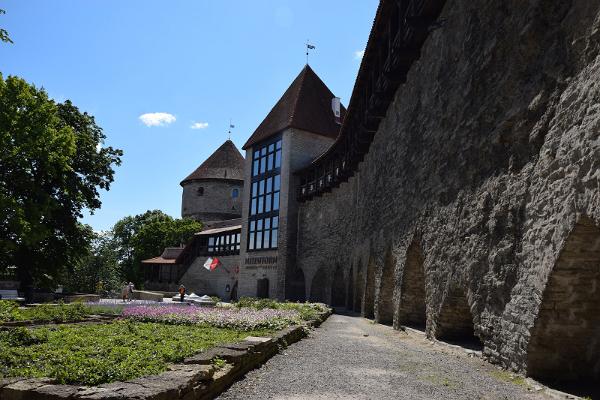 Tallinner Stadtmauer