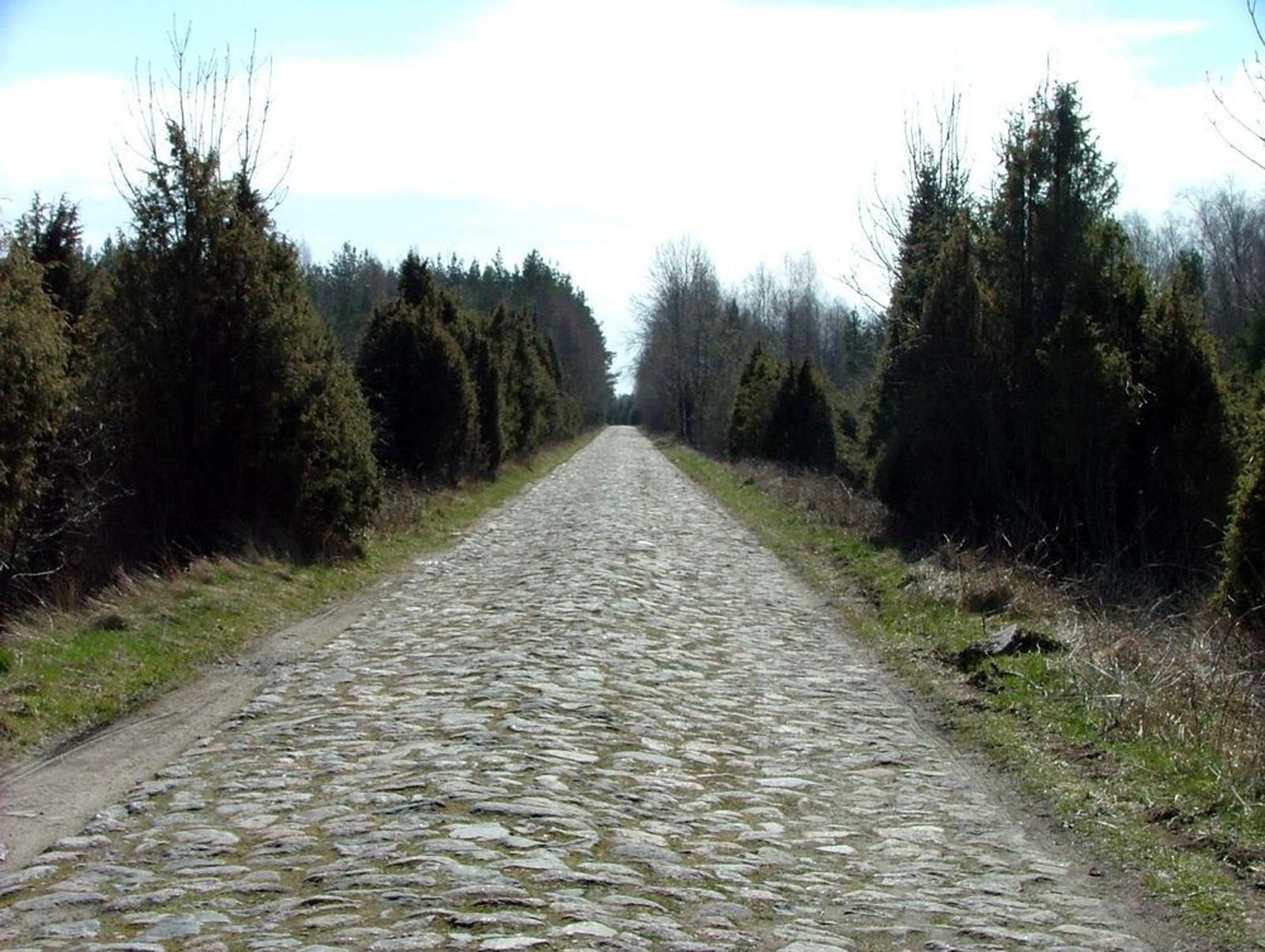 Võiküla munakivitee ja rannakaitsepatareid