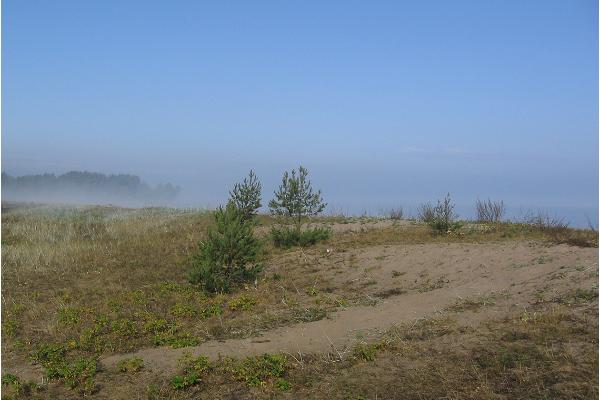 Strand in Karepa