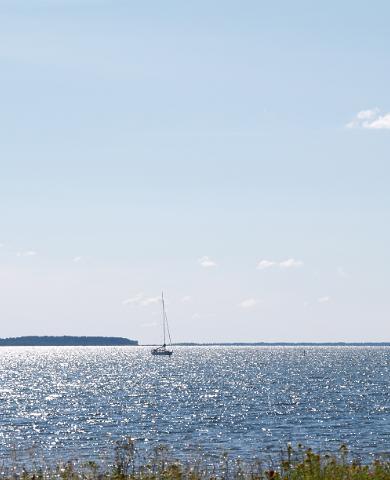 Segelbåtstur från Hapsal till Ormsö