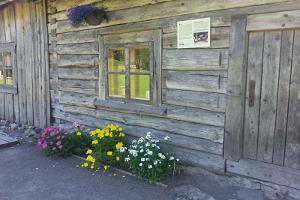 Metsanurme külakeskus-koduloomuuseum