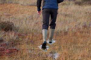 Осенний поход на болотоступах по болоту Лаукасоо и мужчина в резиновых сапогах на болотоступах