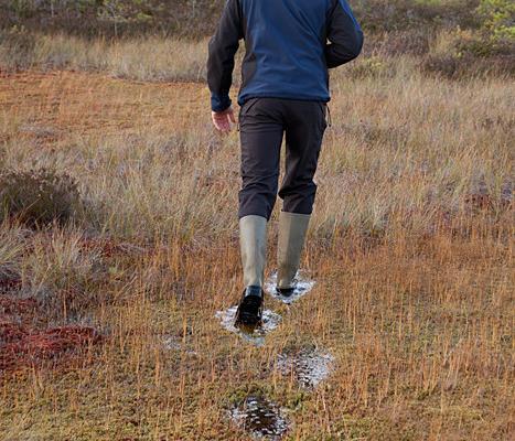 Осенний поход на болотоступах по болоту Лаукасоо и мужчина в резиновых сапогах на болотоступах