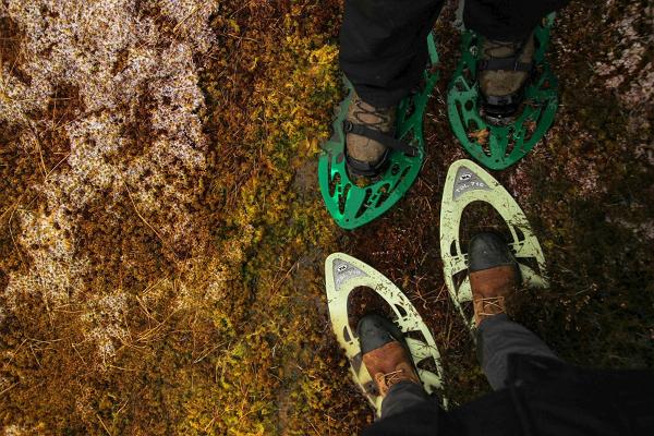 Pārgājieni ar sniega kurpēm Dienvidigaunijā, Mēnikunno purvā