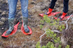 Seikle Vabaks bog-shoe hike to Toonoja swamp island in the Soomaa National Park