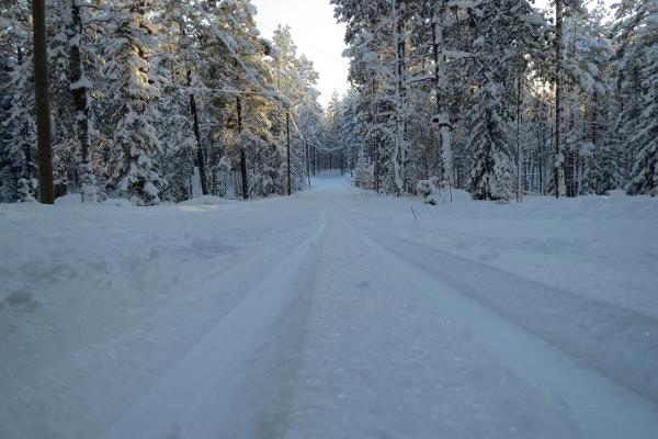 Alutaguse Puhke- ja Spordikeskuse suusarajad