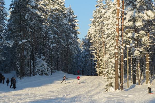 Alutaguse Puhke- ja Spordikeskuse suusarajad