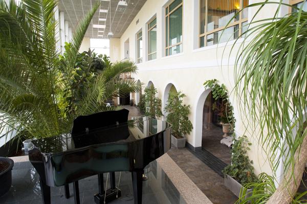 Toila SPA Hotelli Wellness-keskus Orhidee taimed ja klaver