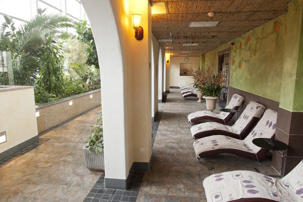 Toila SPA Hotelli Wellness-keskus Orhidee lebotamisala toolidega