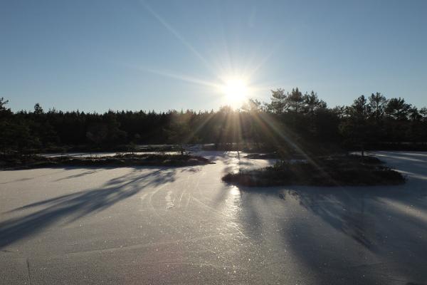 Skating trips in Kõrvemaa