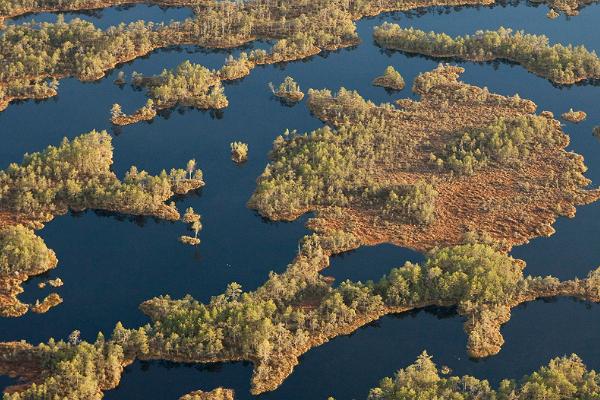 Aegviidu-Kõrvemaa puhkeala ja külastuskeskus-teabepunkt