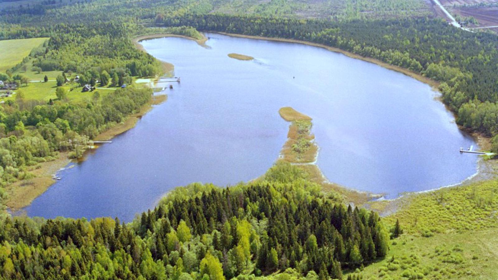Эстония Лесные озера
